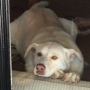 Meet your Posher, Linzi